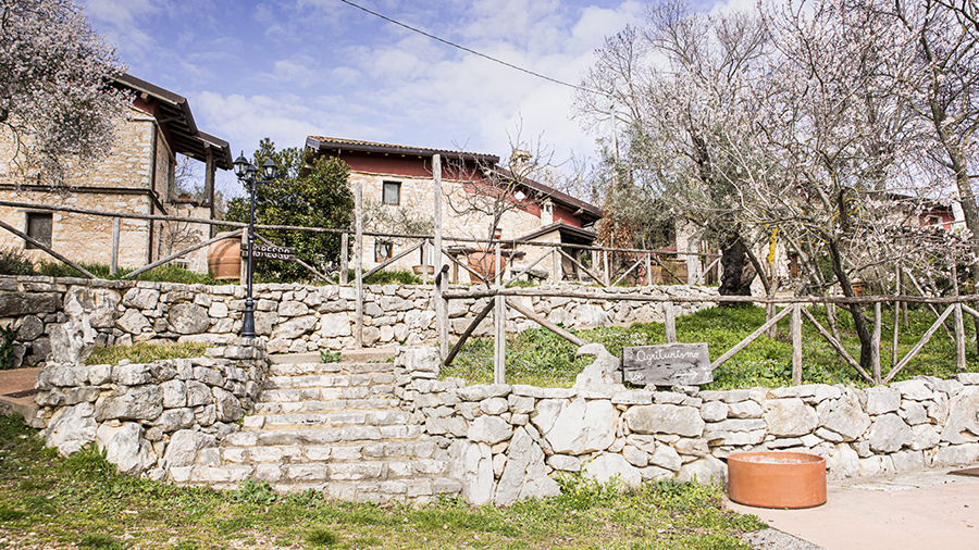 ALATRI, IL GIARDINO DEI MANDORLI