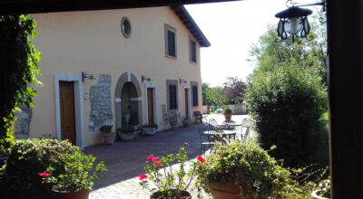 ALATRI | IL GIRASOLE