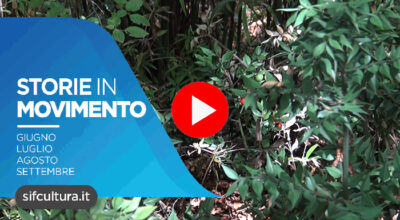 Storie in movimento | sabato 10 luglio